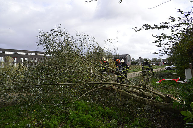 2013/267/GB 20131028e 005 Stormschade Ringvaartdijk 51.jpg